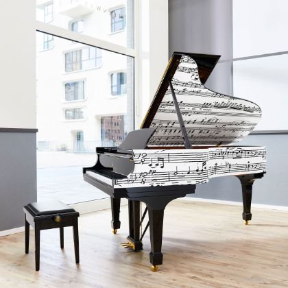 /pianos/steinway/Limited-edition/Appassionata